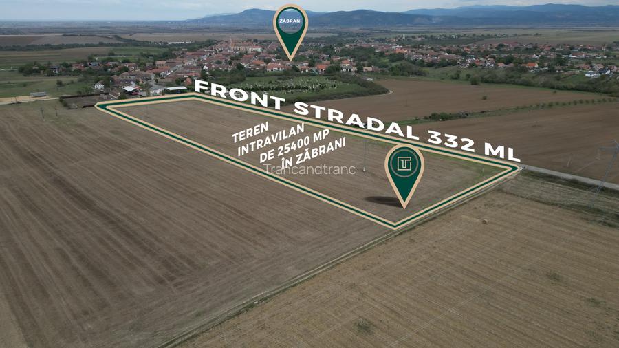 Teren intravilan de 25400 mp cu potențial excepțional pentru investiție în Zăbra
