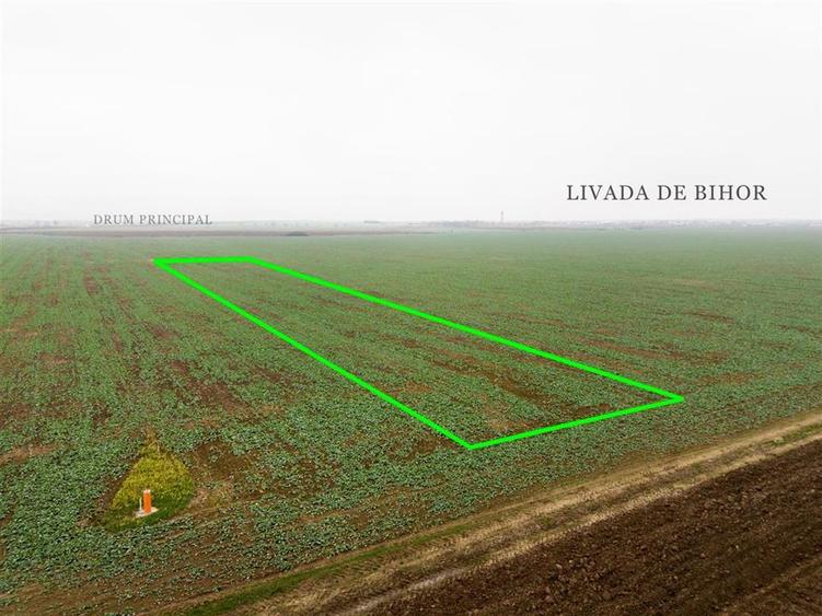 RECO Teren extravilan 5800 mp Livada de Bihor - 5