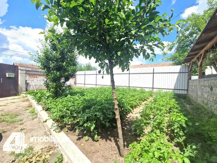 Casa in Loc. Pecica, teren 1602 mp, fs.17 ml, termoteca - 1