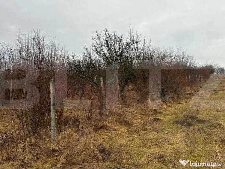 Teren extravilan de vanzare, Valea Budavului - 9