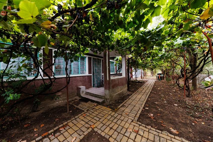 Urseni – Vatra Veche | Teren 1.439 mp + casa locuibila | Comision 0% - 2