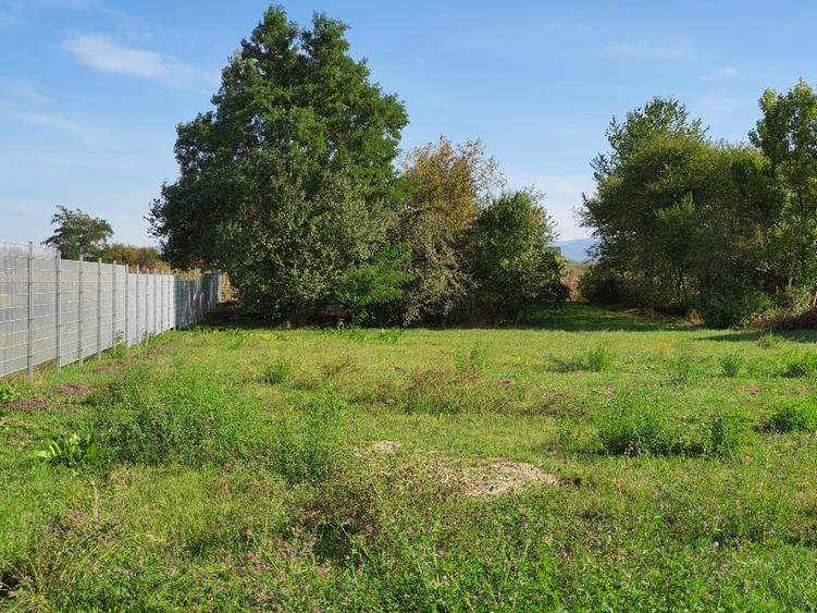 Proprietate 2950mp - Imprejmuit + Container. Podu Oltului, la strada principala - 1