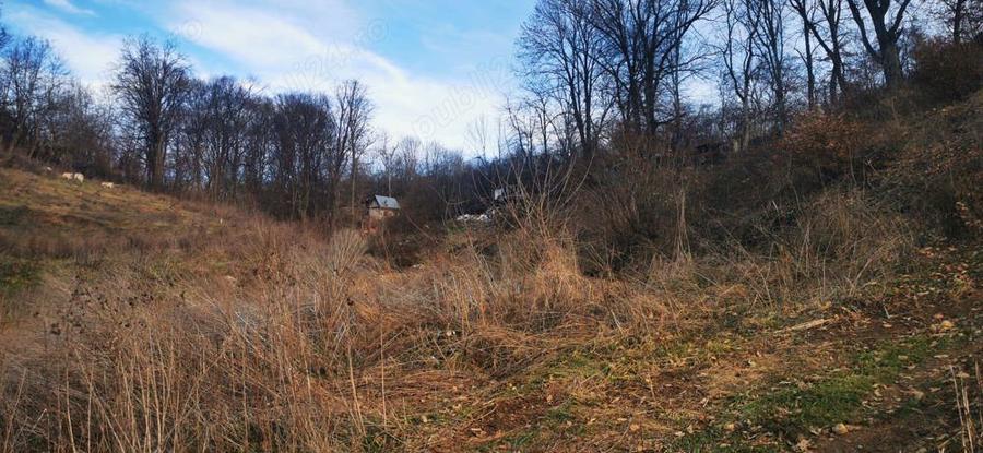 Teren Spitalul judetean pret redus 50% 16 euro mp 6000 mp - 4