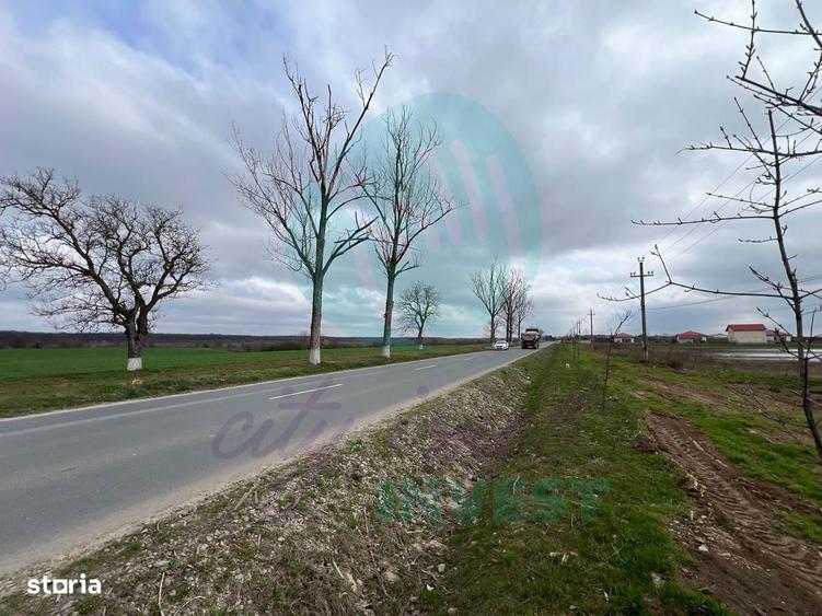 Teren intravilan la sosea | 6.439 mp | langa Laguna Verde | Investitie - 3