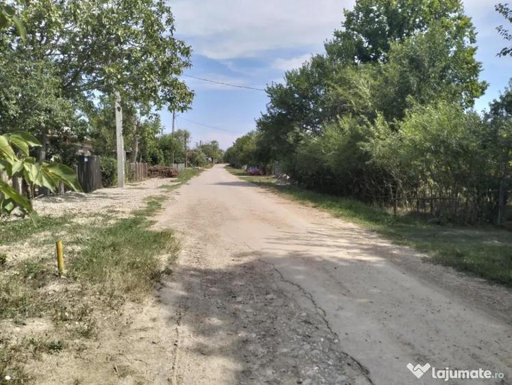 Teren 4975 mp situat in intravilanul satului Belciug, Dragan - 9