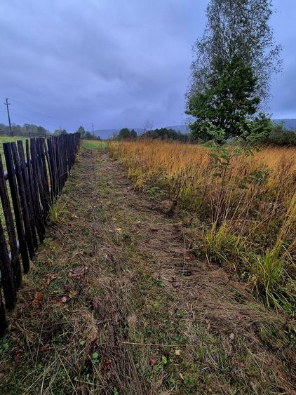 Comision 0%, teren extravilan 12497 mp Sinca Noua - 8