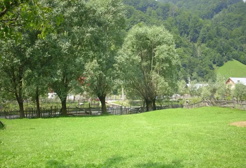 Vand teren intravilan localitatii Rucar, sat Satic, punct Caminul Casei, jud. Arges Vand teren intravilan localitatii Rucar, sat Satic, punct Caminul Casei, jud. Arges