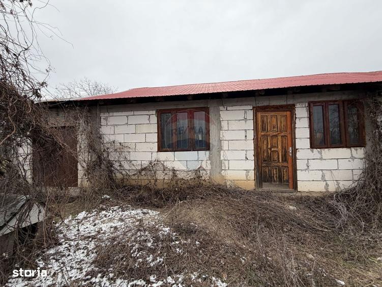 Casa Dumbraveni strada viilor 20 - 7