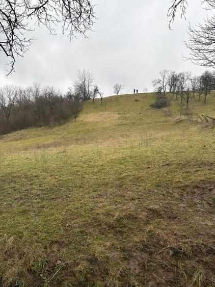 Vand teren intravilan Suncuius - 3