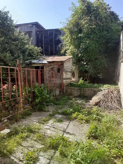 Casa de vanzare Bra?ov Noua - 2