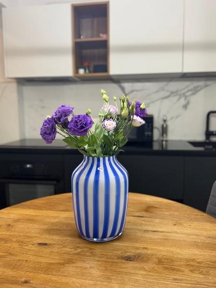 Apartament 2 dormitoare Aleea Cornisa UMF etaj 1 - 8