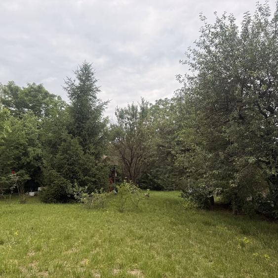 Teren intravilan zona Bercu Rosu - 4