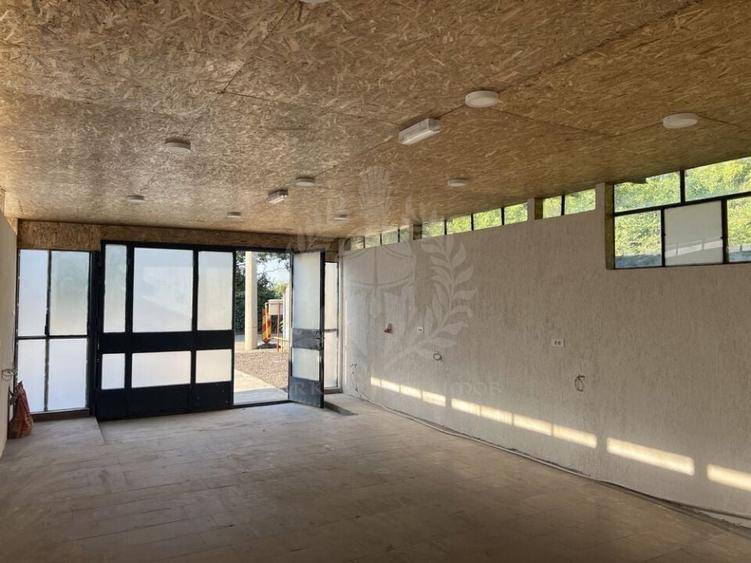 HALA CU 5 INTRARI - 5