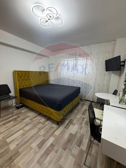 Garsoniera decomandata, 32mp, Brazda lui Novac, bloc 2023 - 6