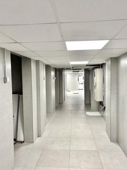 De Vanzare Spatiu Comercial - Piata Victoriei - 4