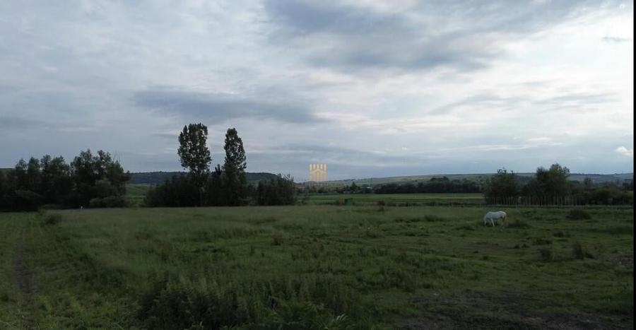 Teren 3953 mp Falticeni Tarna Mare De 0727817187 - 9