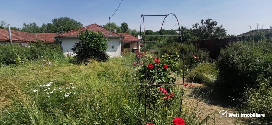 Casa individuala cu gradina frumoasa, teren mare Moldovenesti-Cluj - 2