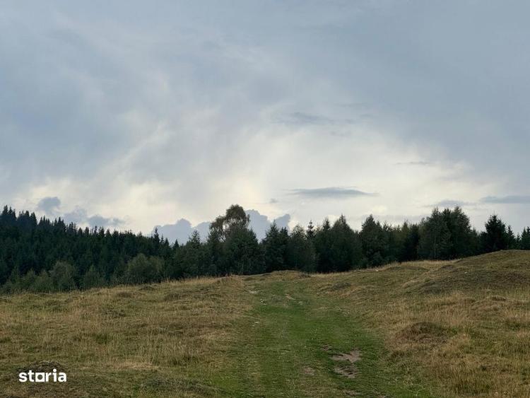 Teren Extravilan de Vanzare in Paltinis - Oportunitate Exceptionala In - 6