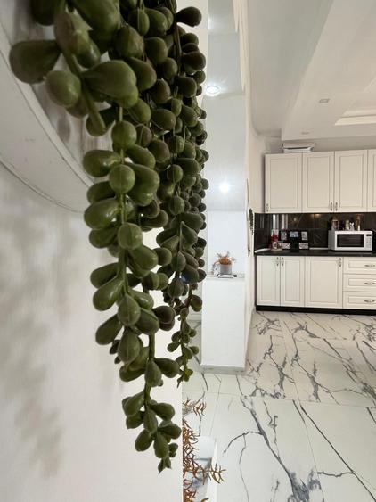 Casă cu 3 dormitoare, 600 mp utili, 2000 mp teren, Talpoș, Bihor. - 19