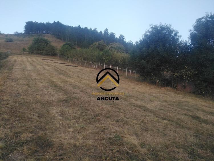 195309-Teren de vanzare, Com. Garbau, Cluj - 3