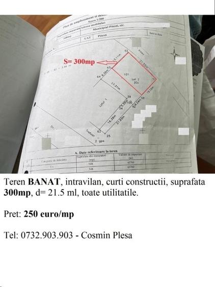 Teren Banat 300 mp, toate utilitatile - 1