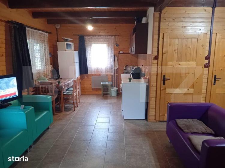 Cabana + teren generos, 60 mp utili, 30 km de Deva - Boz - 9