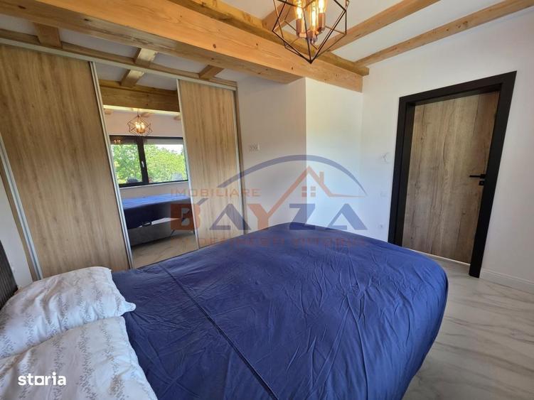 Casa superba P+E+M, teren 5.000 mp Viile Cicarlaului - 7