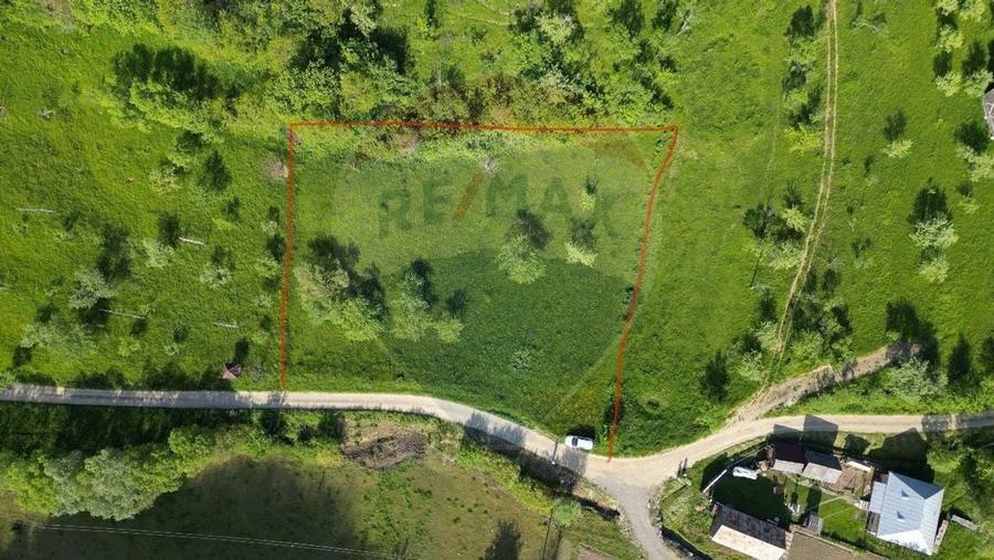 COMISION ZERO - Teren 2339 mp in Barsana - 7