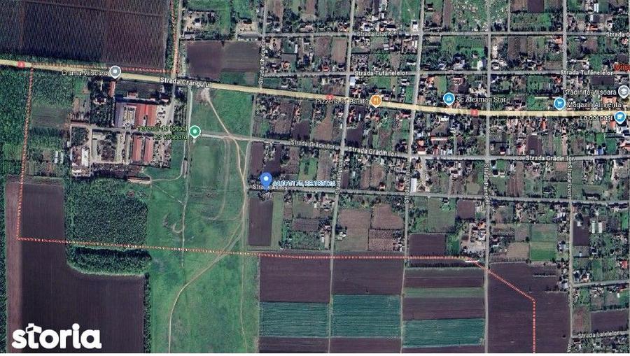 Casa si teren cota parte 1/8, sat Viisoara, com Cobadin, ID: R2982541 - 8