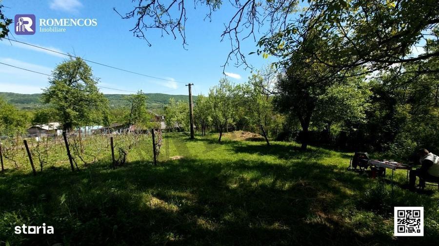 Casa traditionala in Sat Opresti, comuna Stalpeni, Arges - 10