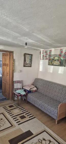 Casa de vanzare comuna Scundu, sat Avramesti - 1