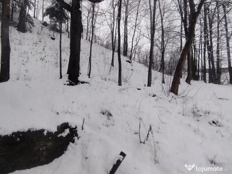 Casa boiereasca Urseiu - 8