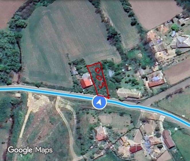 TEREN CATALOI 500mp3 (urgent!) - 1