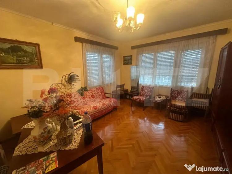 Casa cu teren generos de 6000 mp in Viile Satu Mare zo - 18