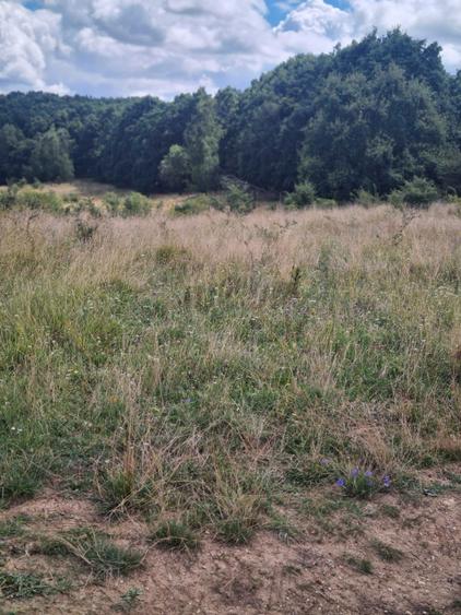 Teren extravilan 2500m2. Panorama superba.-Salicea - 2