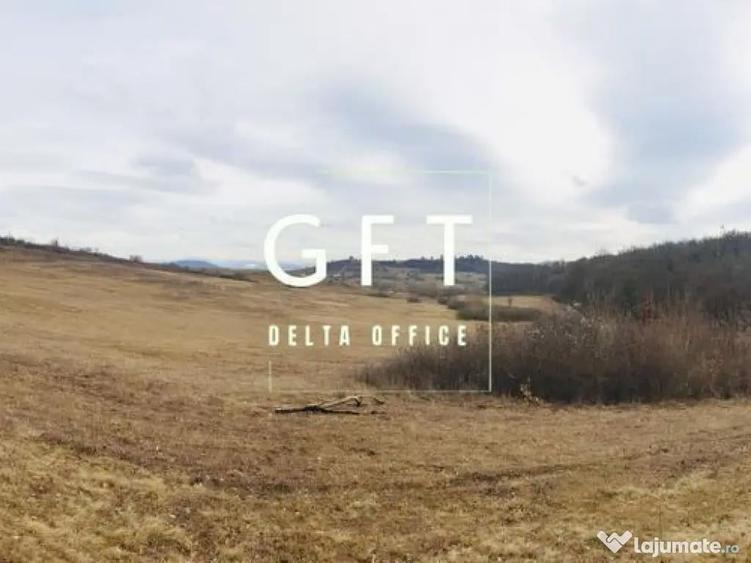 Teren extravilan , zona Valea Castailor - investitie prof... - 5