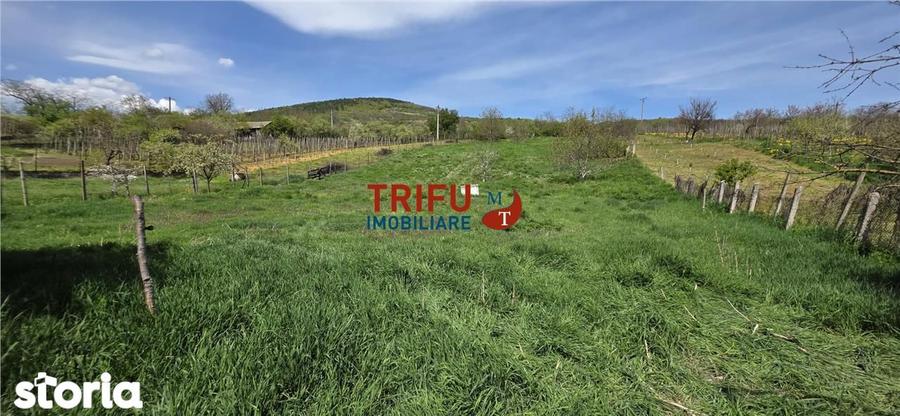 Casa autentica cu farmec transilvanean o proprietate rara in Cricau - 3