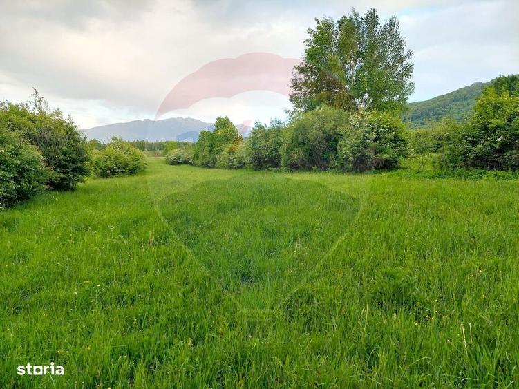 Teren Bran-Zarnesti - Tohanita, 4223mp - 10