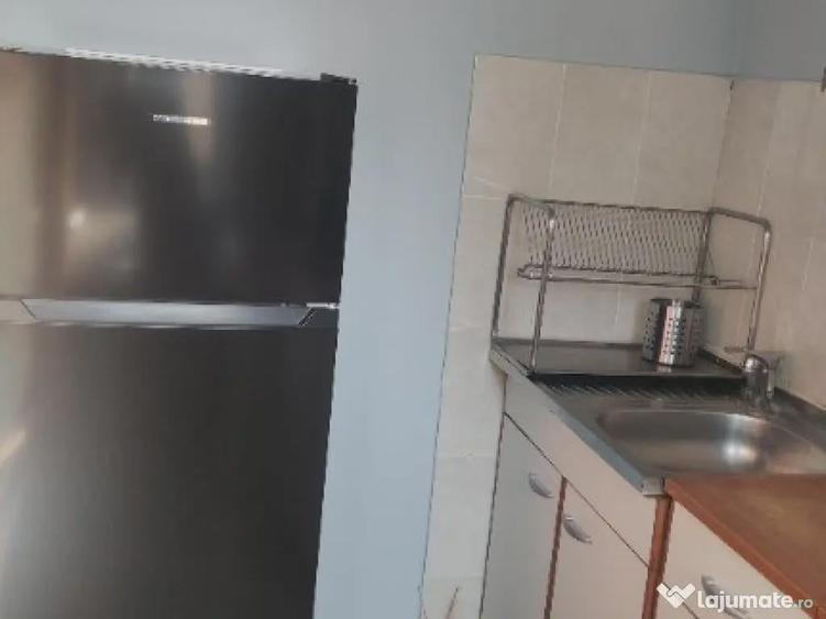 Garsoniera spatioasa, 42mp, Dr. Taberei - cartier Brancusi, proprietar - 10