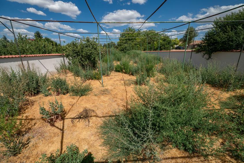 Exclusivitate, Poiana-Centru, P+1, 1640mp teren, 450mp SU, mobilata,utilata - 55