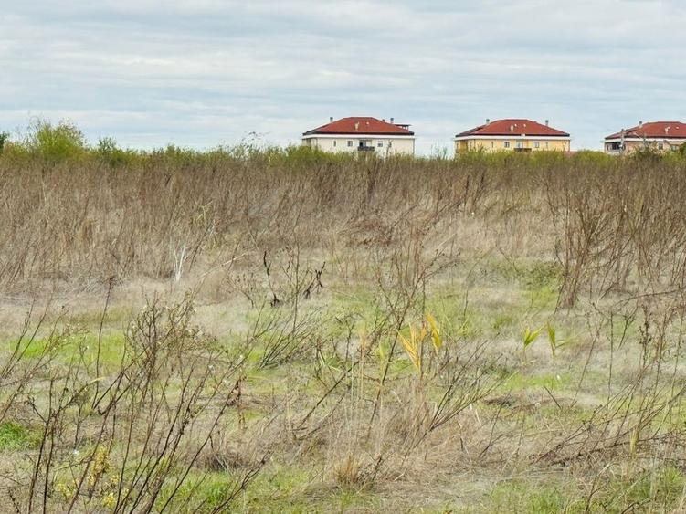 Teren extravilan Chitila/Mogosoia 15895mp - 4