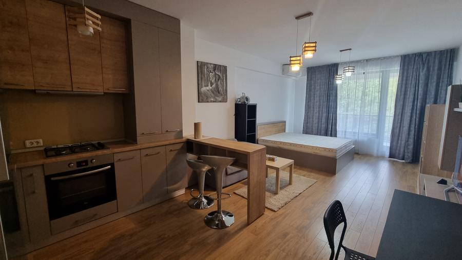 Iancu Nicolae/Residence 5 /Studio elegant / - 5