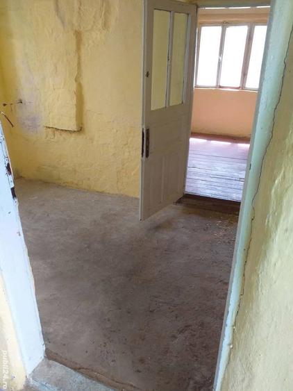 Casa in Ardeoani plus doua hectare de padure - 2