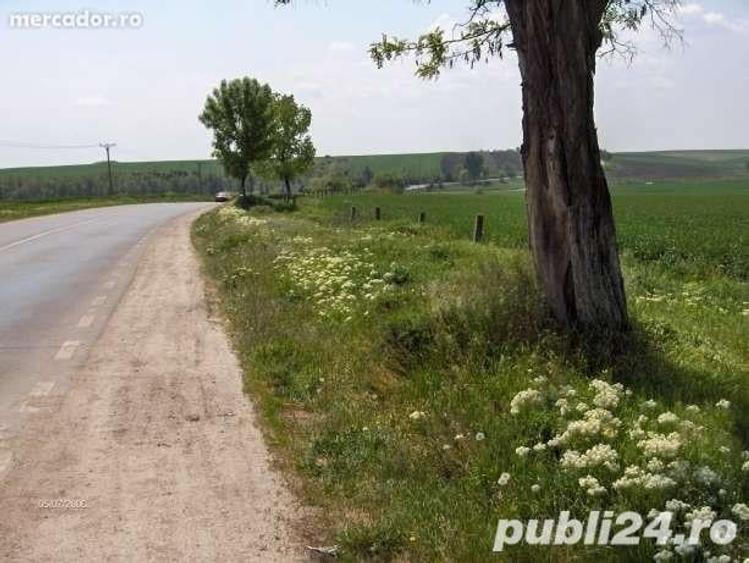 Vand teren stradal Alexandria, Teleorman - 4