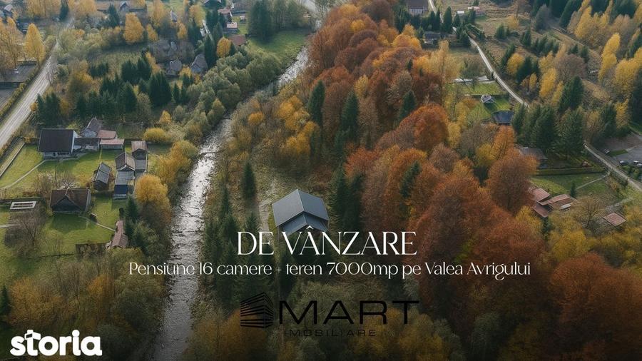 Pensiune 16 camere, teren 7000mp, Valea Avrigului - 2
