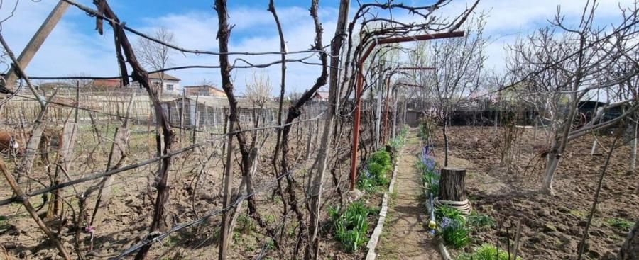 Casa si teren de 1000 mp , Bariera Valcii - 1