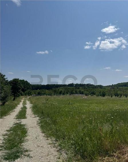 RECO teren in Paleu - 1