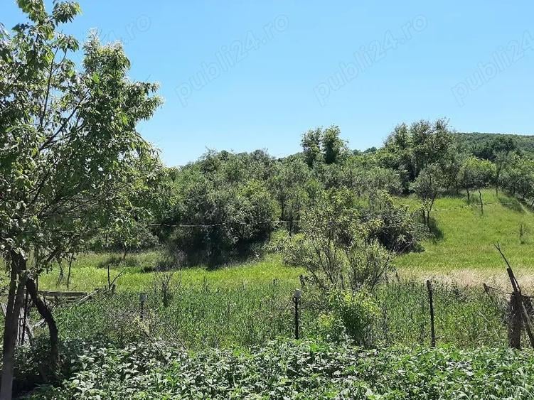 Casa solida din caramida 100 mp, 4000 mp teren - 7