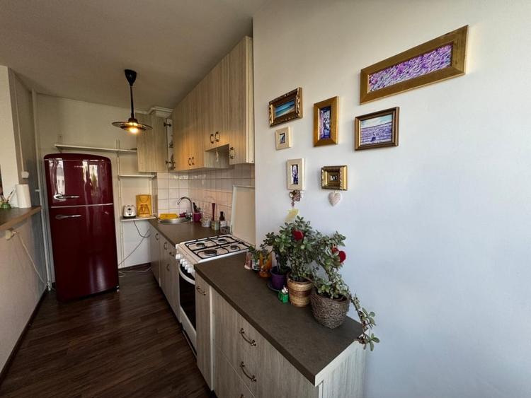 Închiriere apartament mobilat, 2 camere, Mănăștur - 5