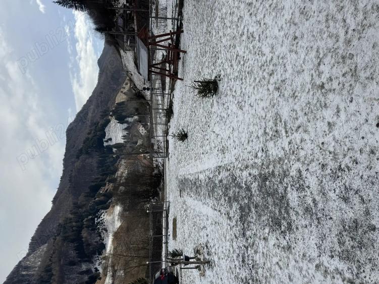 Pensiune Satic, Rucar, 4 dormitoare - 9